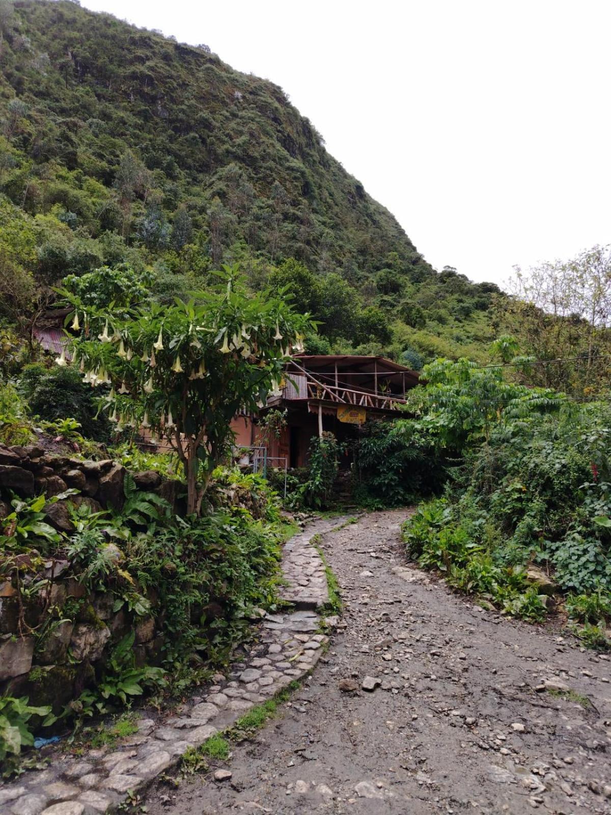 Hostel Samana Wasi Chaullay Cuzco Exterior foto